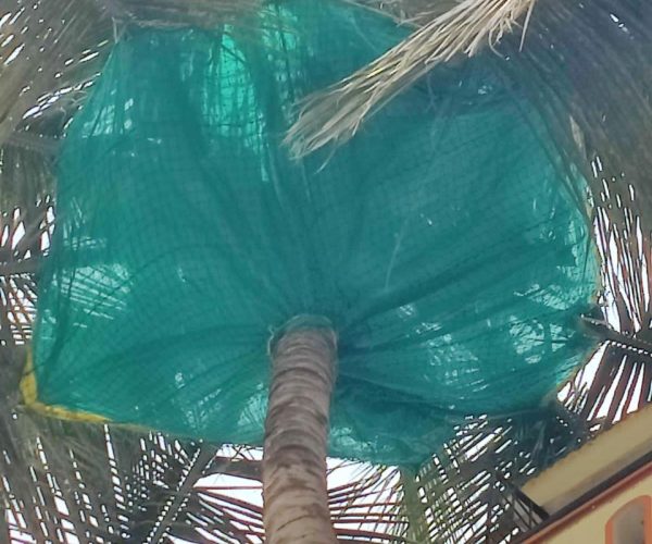 whatsapp image 2025 09 27 at 14.12.58 dedd3a25